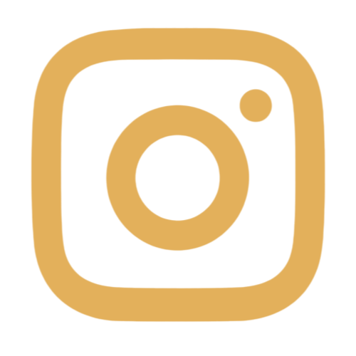 Instagram Icon